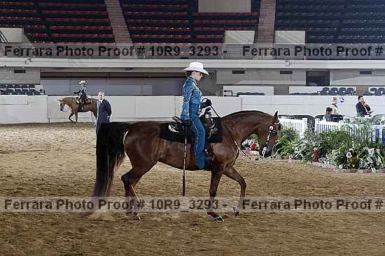 Proof 10r9_3293