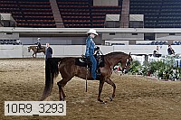 10r9_3293 proof