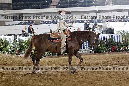 Proof 10r9_3295