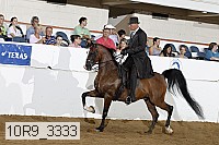 10r9_3333 proof