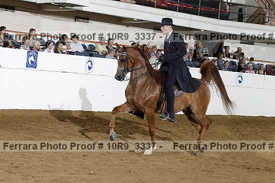 Proof 10r9_3337