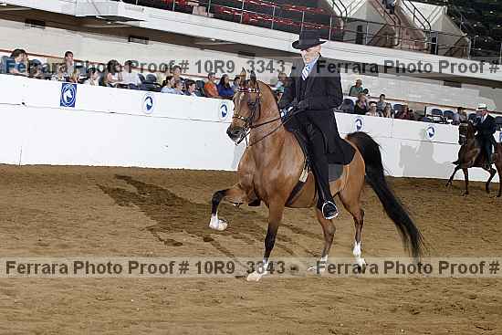 Proof 10r9_3343
