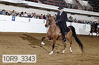 10r9_3343 proof