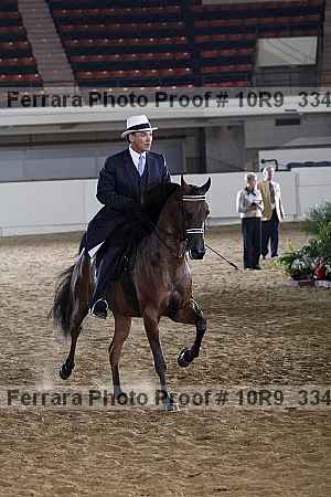 Proof 10r9_3345