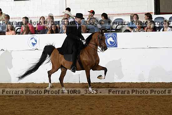 Proof 10r9_3353