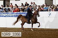 10r9_3356 proof