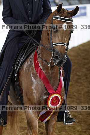 Proof 10r9_3360