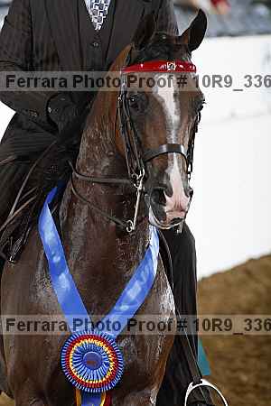 Proof 10r9_3364