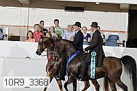 10r9_3368 proof