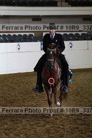 Proof 10r9_3376