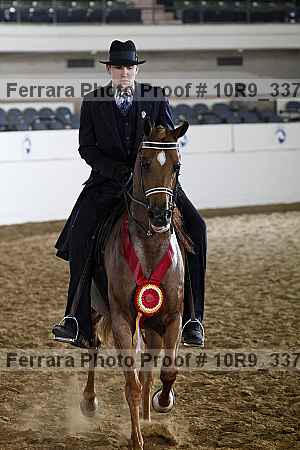 Proof 10r9_3377