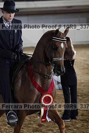 Proof 10r9_3378