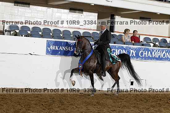 Proof 10r9_3384