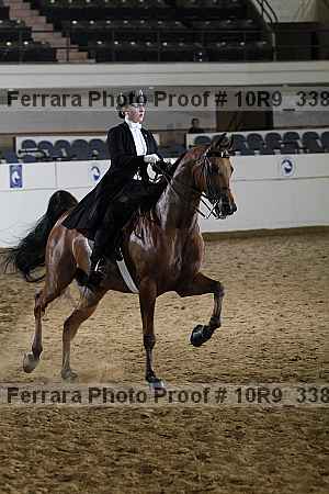 Proof 10r9_3388