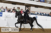 10r9_3389 proof