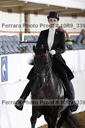 Proof 10r9_3392