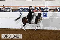 10r9_3401 proof
