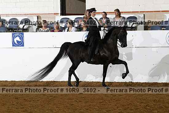 Proof 10r9_3402