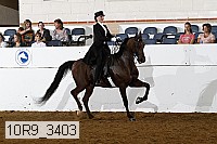 10r9_3403 proof