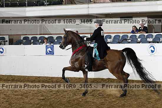 Proof 10r9_3405