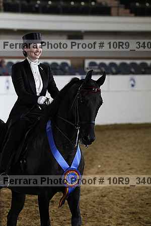 Proof 10r9_3409