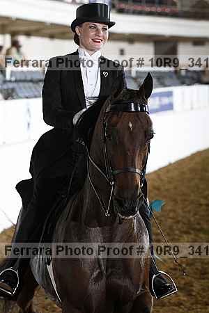 Proof 10r9_3413