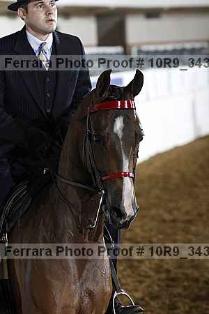 Proof 10r9_3431
