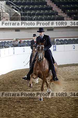 Proof 10r9_3441