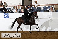10r9_3452 proof