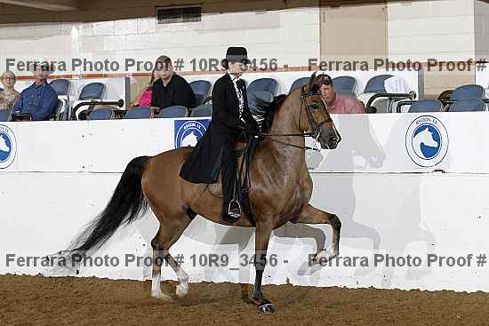 Proof 10r9_3456