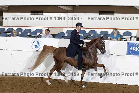 Proof 10r9_3459