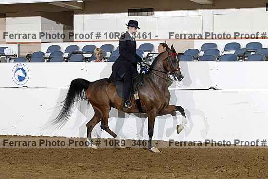 Proof 10r9_3461