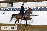 10r9_3461 proof