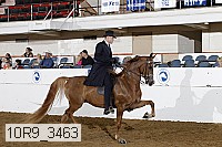 10r9_3463 proof