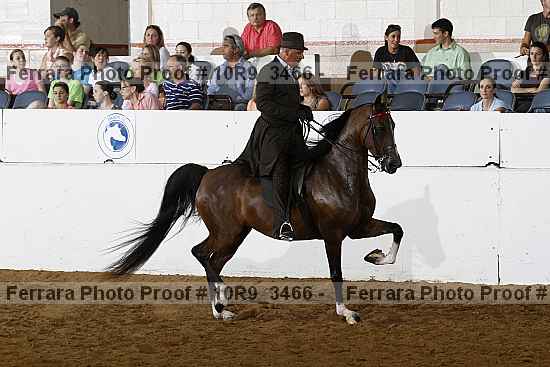 Proof 10r9_3466