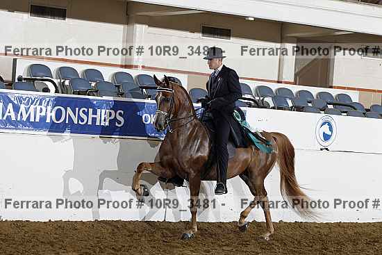 Proof 10r9_3481