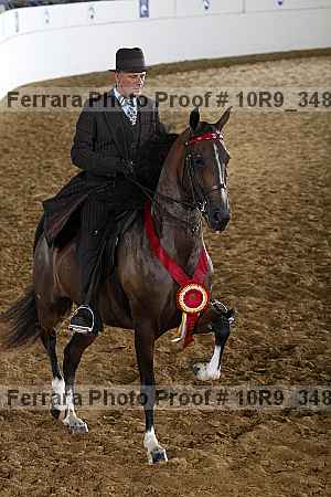 Proof 10r9_3484