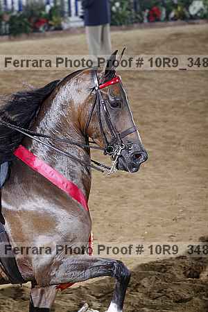 Proof 10r9_3485