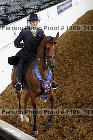 Proof 10r9_3489
