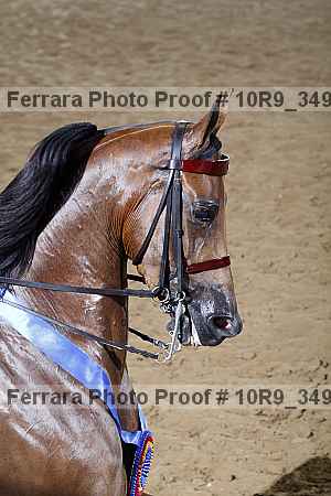 Proof 10r9_3490