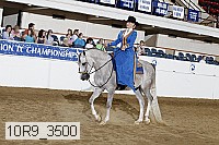 10r9_3500 proof