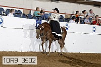 10r9_3502 proof