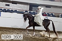 10r9_3505 proof
