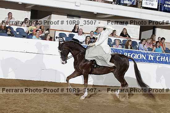 Proof 10r9_3507