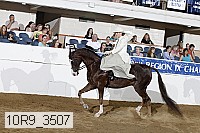 10r9_3507 proof