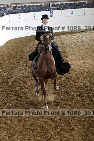 Proof 10r9_3517