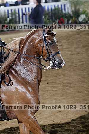 Proof 10r9_3519