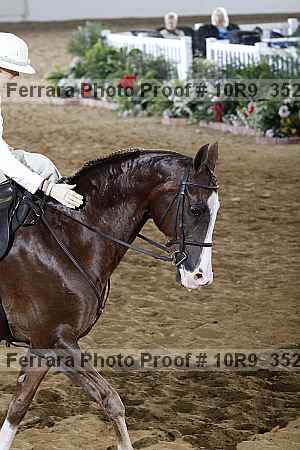 Proof 10r9_3525
