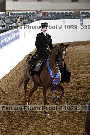 Proof 10r9_3528