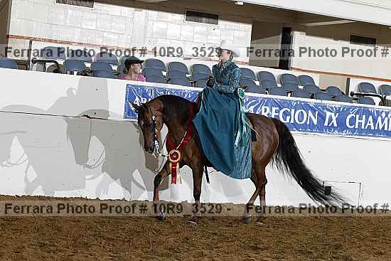 Proof 10r9_3529